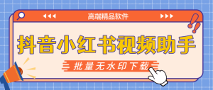 『高端精品』最新抖音小红书无水印批量下载助手,电脑一键解析下载新手小白自媒体必备神器『月卡软件+使用教程』_抖汇吧