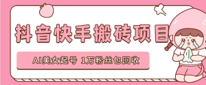 『高端精品』外面收费588的抖音快手AI美女视频搬砖项目 日涨粉1万＋『AI软件+使用教程』_抖汇吧