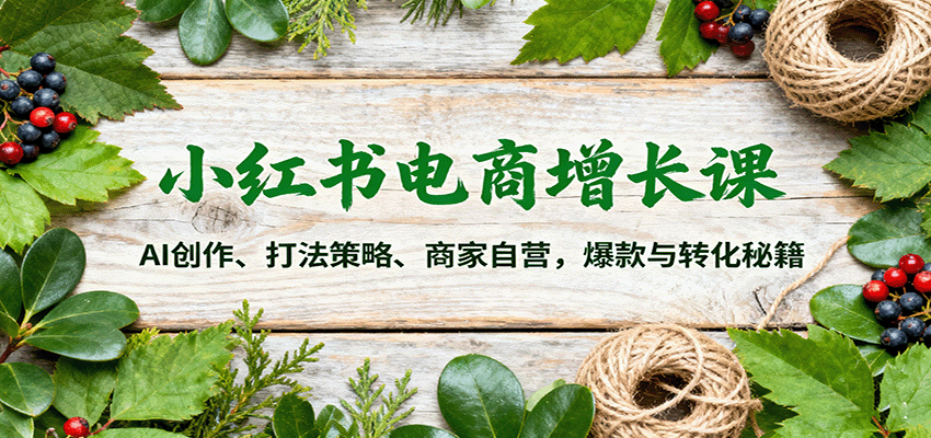 小红书电商增长课：AI创作、打法策略、商家自营，爆款与转化秘籍_抖汇吧