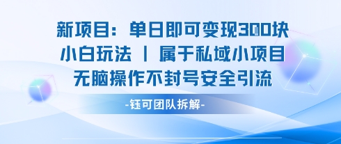 新项目单日即可变现3张的小白玩法无脑操作不封号安全引流_抖汇吧