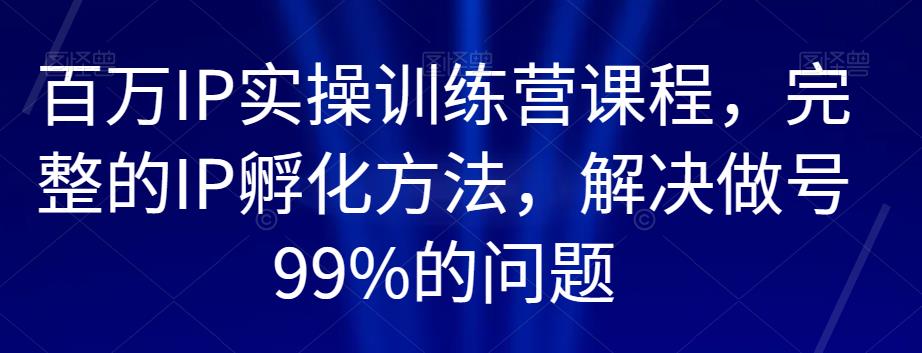 百万IP实操训练营课程，完整的IP孵化方法，解决做号99%的问题_抖汇吧