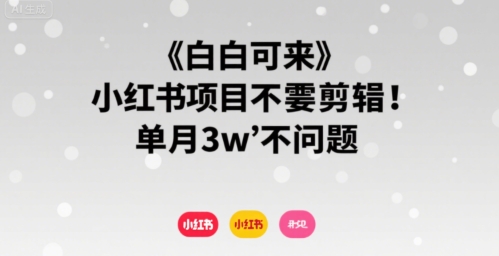 小白可来 小红书项目不需要剪辑 单月3w不是问题_抖汇吧
