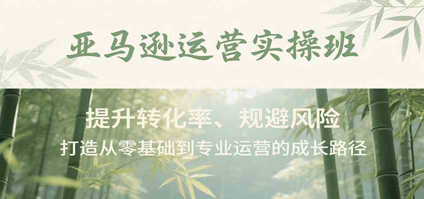 亚马逊运营实操班，提升转化率、规避风险，打造从零基础到专业运营的成长路径_抖汇吧