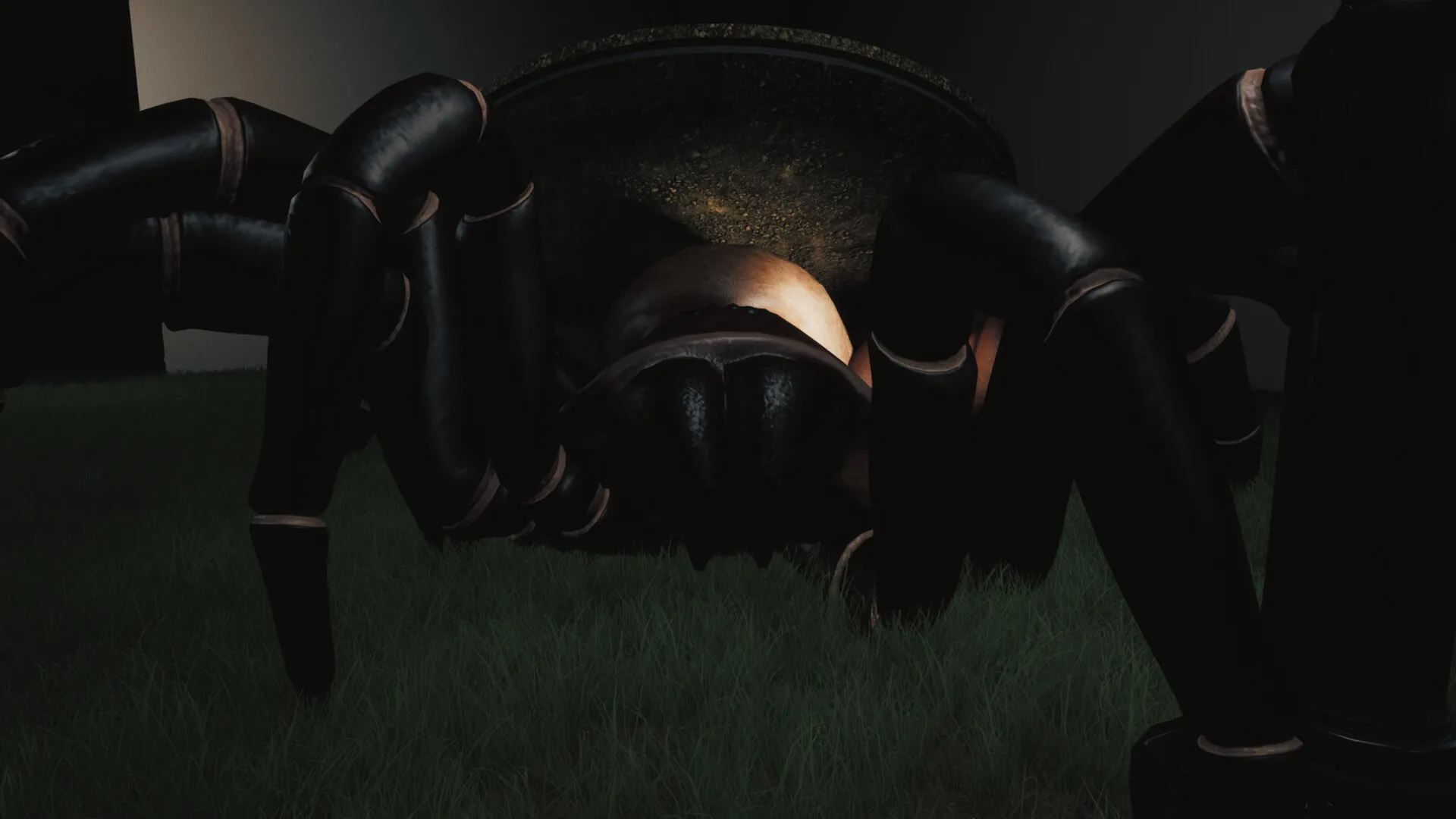 巨蛛猎手/Huntsman_抖汇吧