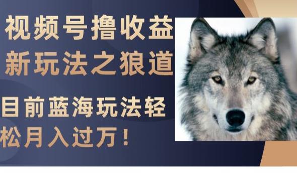 视频号撸收益新玩法之狼道，目前蓝海玩法，轻松月入过万【揭秘】_抖汇吧
