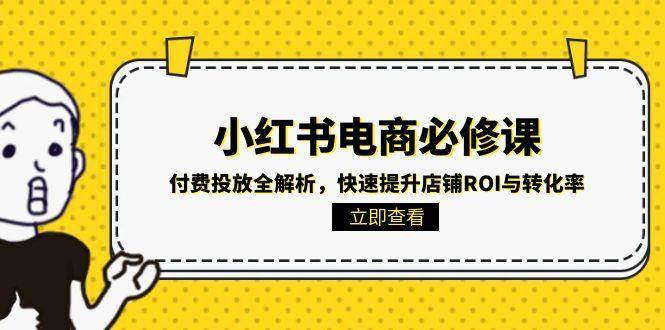 小红书电商必修课：付费投放全解析，快速提升店铺ROI与转化率_抖汇吧