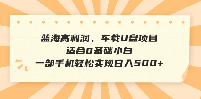 蓝海高利润，车载U盘项目，适合0基础小白，一部手机轻松实现日入500+_抖汇吧