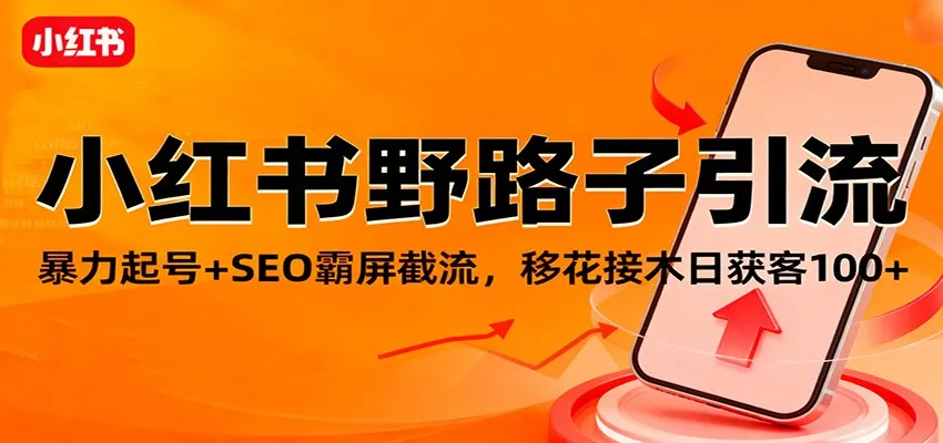 小红书野路子引流，暴力起号+SEO霸屏截流，移花接木日获客100+_抖汇吧
