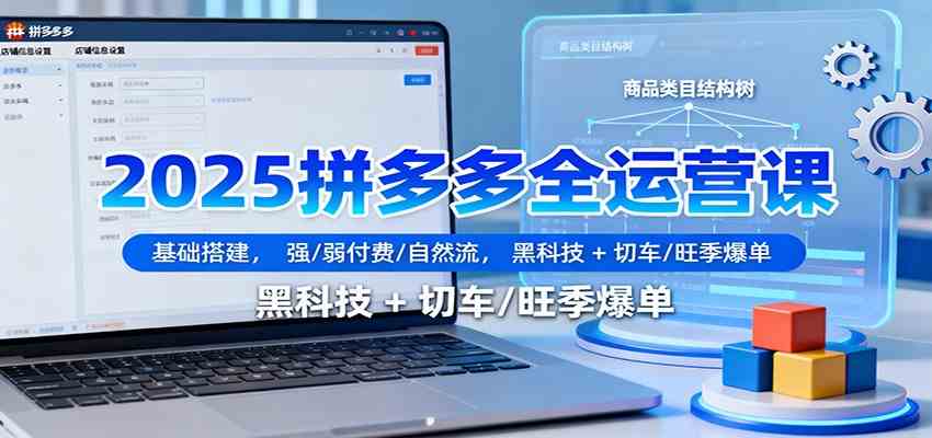2025拼多多全运营课：基础搭建，强/弱付费/自然流，黑科技 + 切车/旺季爆单_抖汇吧