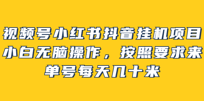 视频号小红书抖音挂机项目，小白无脑操作，按照要求来，单号每天几十米_抖汇吧