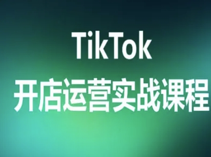 TikTok开店运营实战课程，TK跨境电商实操全流程_抖汇吧
