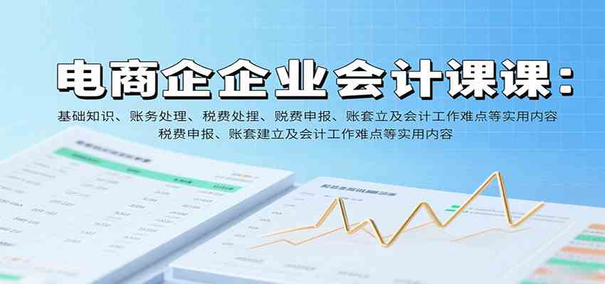 电商企业会计课：基础知识、账务处理、税费申报、账套建立及会计工作难点等实用内容_抖汇吧
