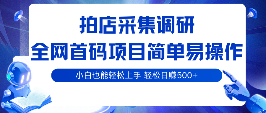 拍店采集调研，全网首码项目，简单易操作， 小白也能轻松上手，轻松日赚500+_抖汇吧