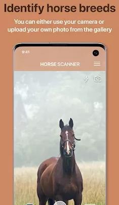 Horse Scanner 马鉴定器v12.1.0高级版_抖汇吧