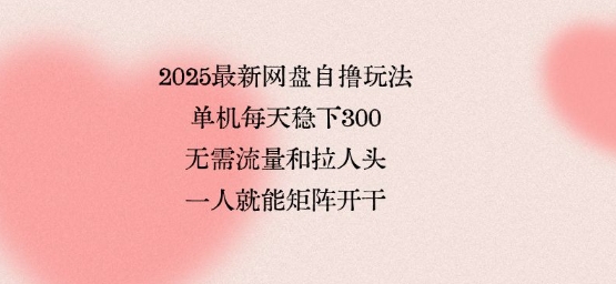2025最新网盘自撸玩法，单机每天稳下3张，无需流量和拉人头，一个人就可轻松矩阵，全网独一份【揭秘】_抖汇吧