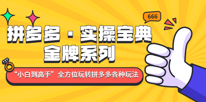 拼多多·实操宝典：金牌系列“小白到高手”带你全方位玩转拼多多各种玩法_抖汇吧