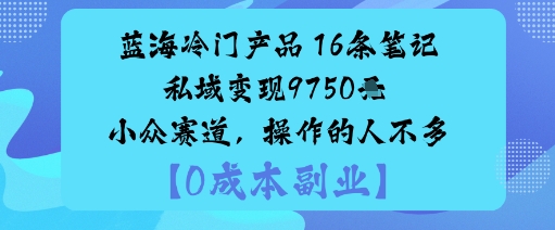 蓝海冷门产品：16条笔记私域变现9750米小众赛道，操作的人不多_抖汇吧