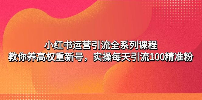 小红书运营引流全系列课程：教你养高权重新号，实操每天引流100精准粉_抖汇吧