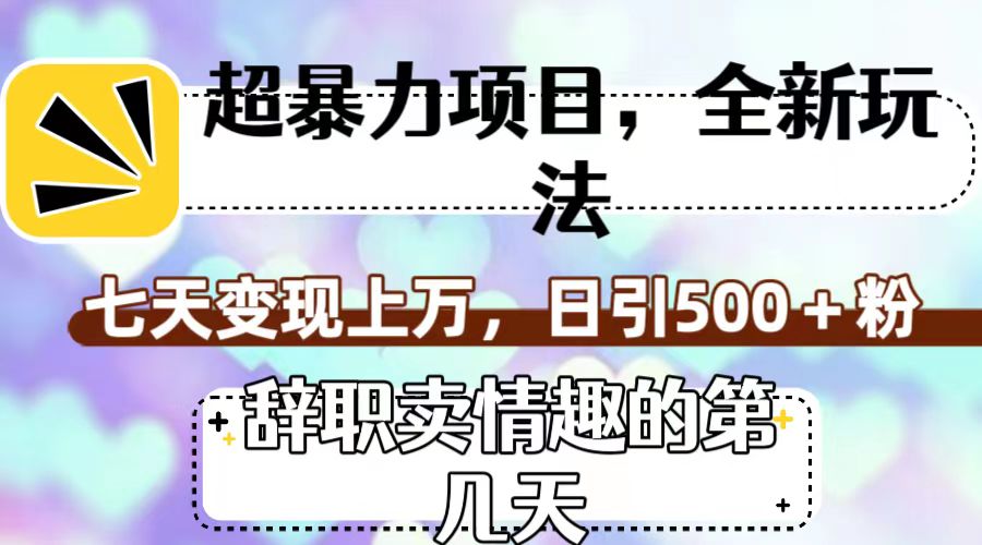 超暴利项目，全新玩法（辞职卖情趣的第几天），七天变现上万，日引500+粉_抖汇吧