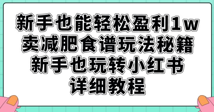 小白也能轻松盈利1W，卖减肥食谱玩法秘籍，新手也玩转小红书详细教程【揭秘】_抖汇吧