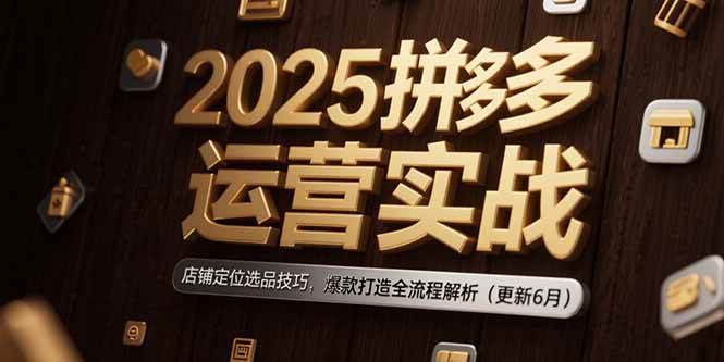 （15235期）2025拼多多运营实战：店铺定位选品技巧，爆款打造全流程解析（更新6月）_抖汇吧