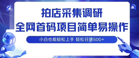 拍店采集调研，全网首码项目，简单易操作， 小白也能轻松上手，多账号操作，轻松日入5张【揭秘】_抖汇吧