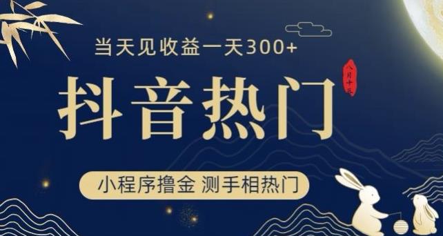 抖音最新小程序撸金，测手相上热门，当天见收益一小时变现300+【揭秘】_抖汇吧