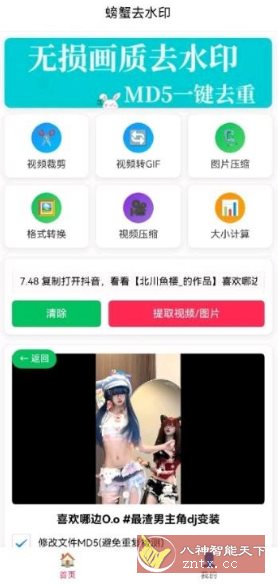 螃蟹去水印大师 1.0.5纯净版_抖汇吧