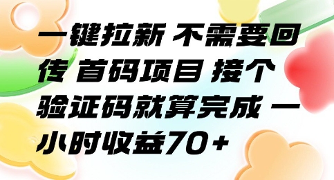 一键拉新 不需要回传 首码项目 接个验证码就算完成 一小时收益70+【揭秘】_抖汇吧