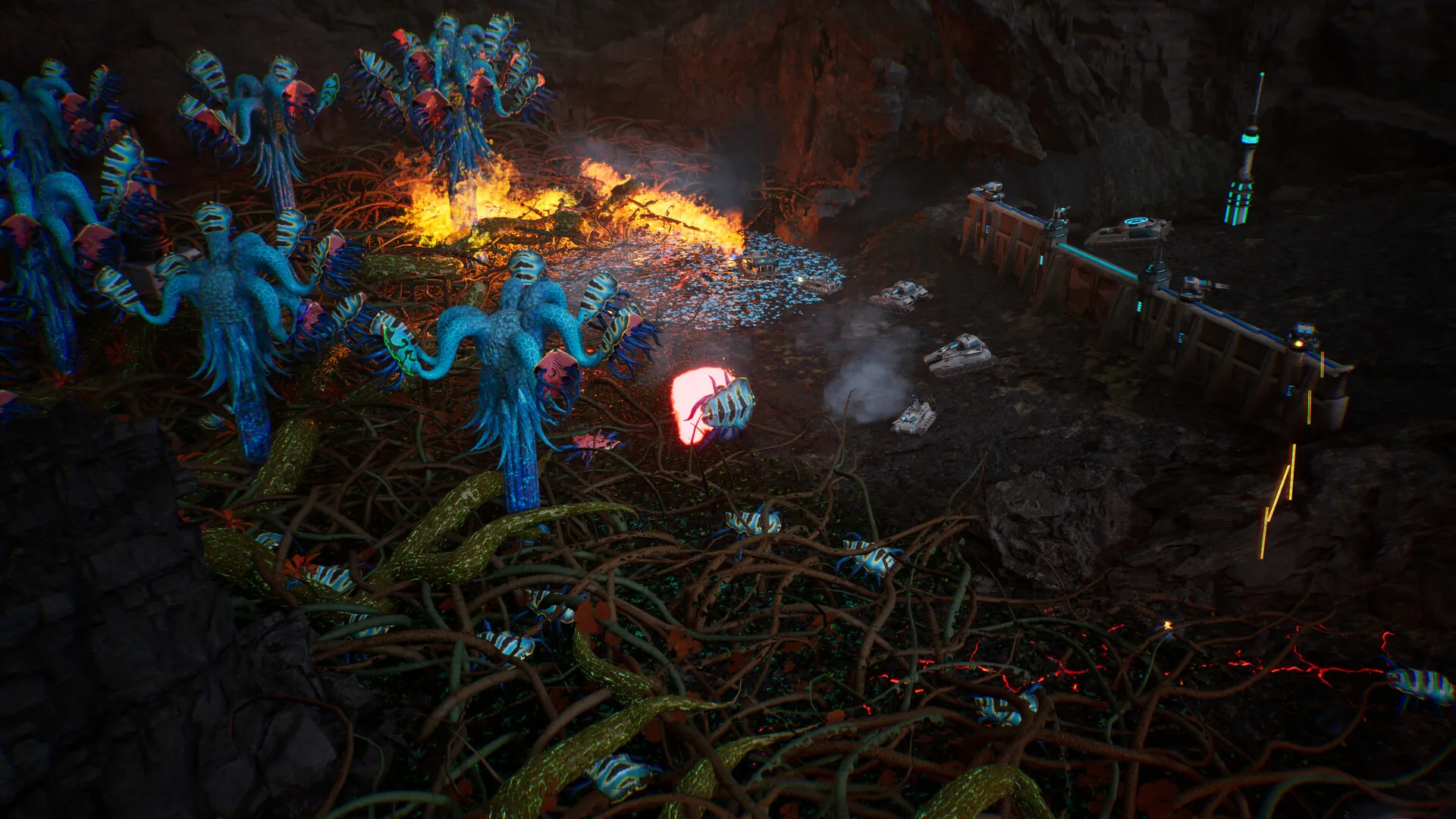 星萼/Calyx_抖汇吧