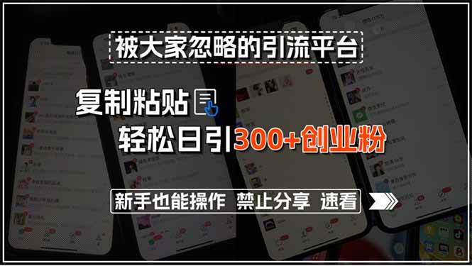 （15428期）被大家忽略的引流平台，复制粘贴轻松日引300+创业粉，新手也能操作，禁…_抖汇吧