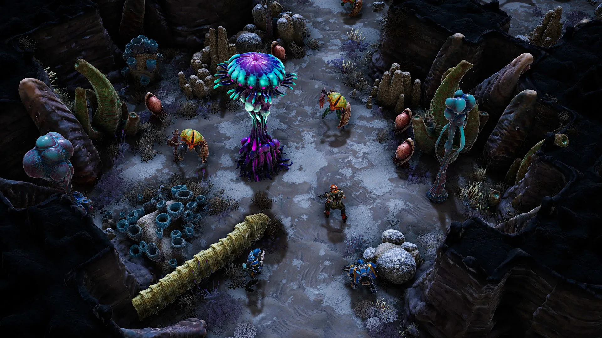 凤凰点：周年版/Phoenix Point: Year One Edition_抖汇吧