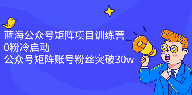 蓝海公众号矩阵项目训练营，0粉冷启动，公众号矩阵账号粉丝突破30w_抖汇吧