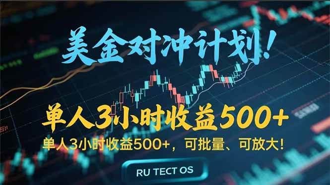 （15321期）长久稳定的撸美金项目，平均3小时收入 500+，可公司实地考察实地操作！_抖汇吧