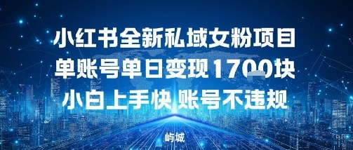 小红书全新私域女粉项目单账号单日变现多张，小白上手快账号不违规建议准备多账号操作_抖汇吧
