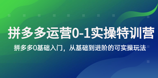 拼多多-运营0-1实操训练营，拼多多0基础入门，从基础到进阶的可实操玩法_抖汇吧