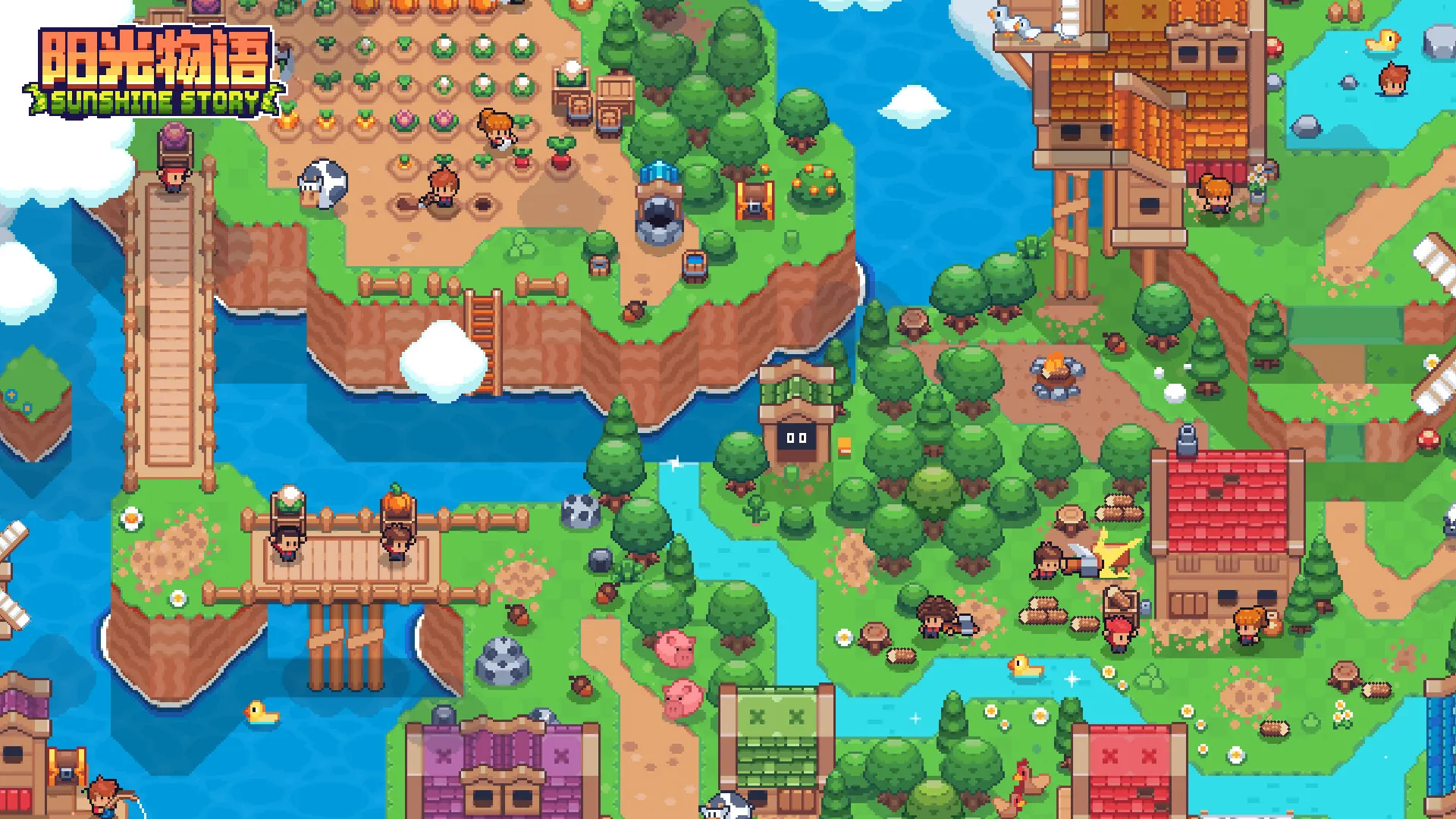 阳光物语/Sunshine Story