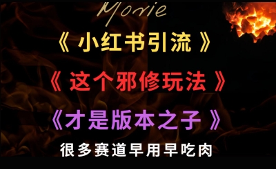 最近小红书引流这个邪修玩法才是版本之子，很多赛道早用早吃肉_抖汇吧