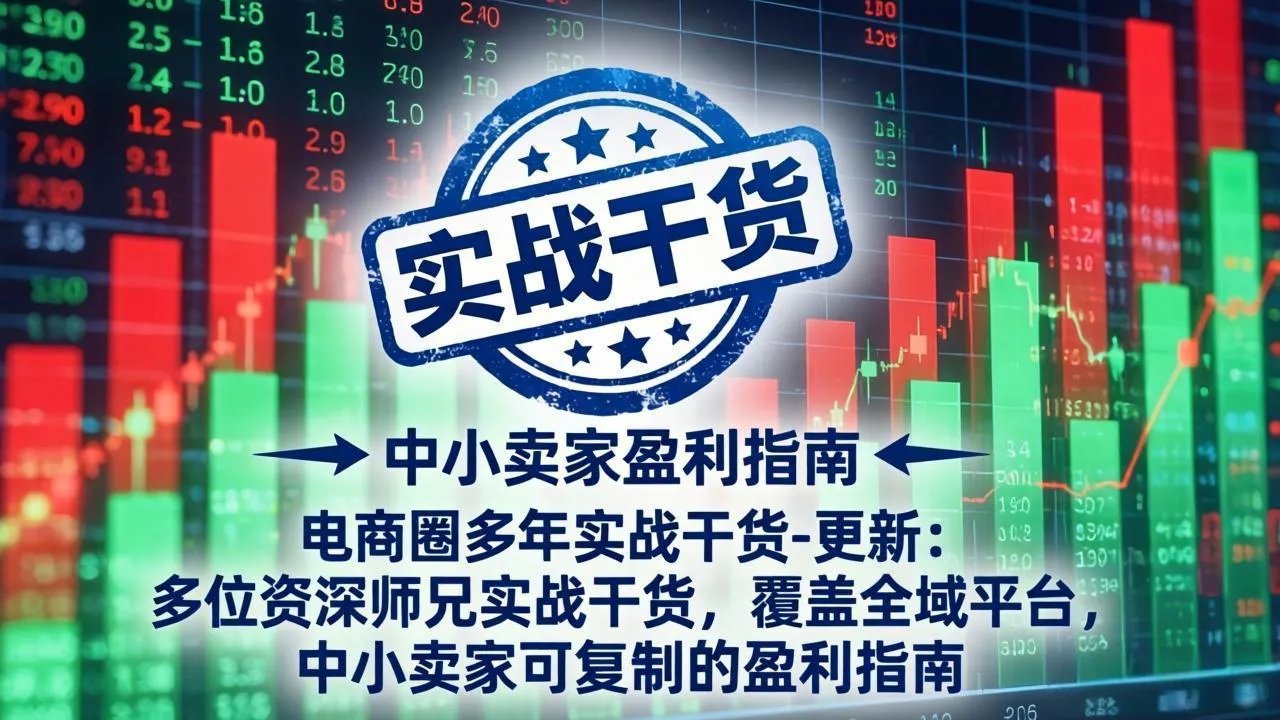 电商圈多年实战干货-更新4月：多位资深师兄实战干货，覆盖全域平台，中小卖家可复制的盈利指南_抖汇吧
