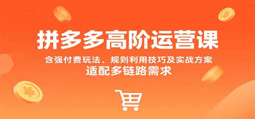 拼多多高阶运营课，含强付费玩法、规则利用技巧及实战方案，适配多链路需求_抖汇吧