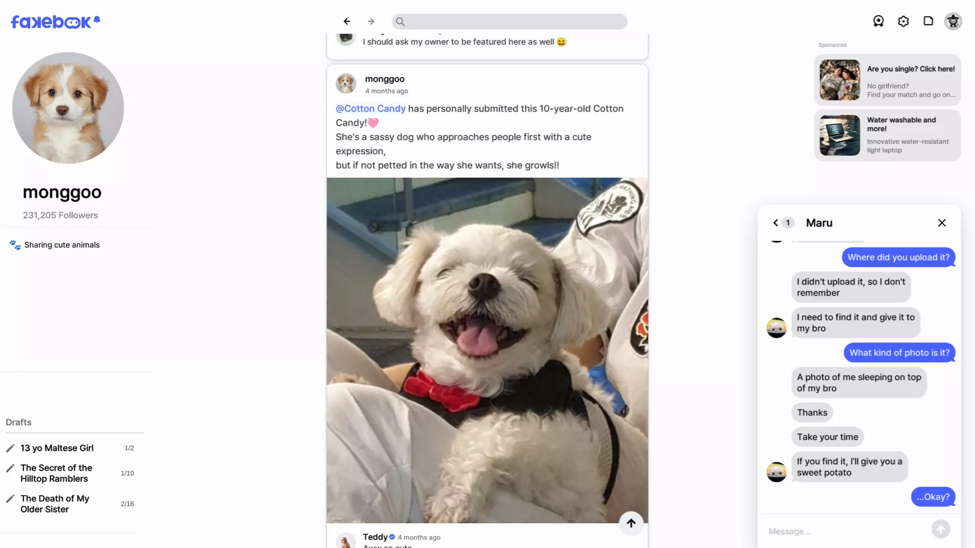 假书/FAKEBOOK 新游发布_抖汇吧