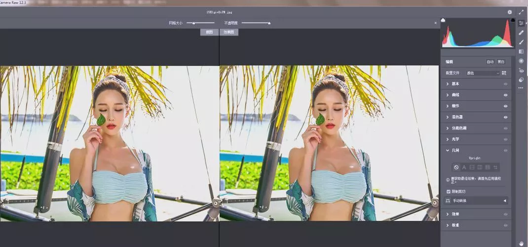 RAW处理Adobe Camera Raw v18.3.2中文版_抖汇吧