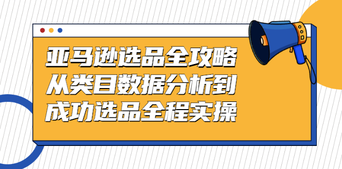 亚马逊选品全攻略：从类目数据分析到成功选品全程实操_抖汇吧