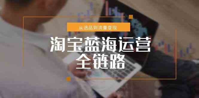 淘宝蓝海运营全链路，从选品到流量变现，小类目突围完整方案_抖汇吧