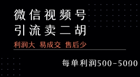 视频号卖二胡教程，利润大 易成交 售后少，一单利润5张+_抖汇吧