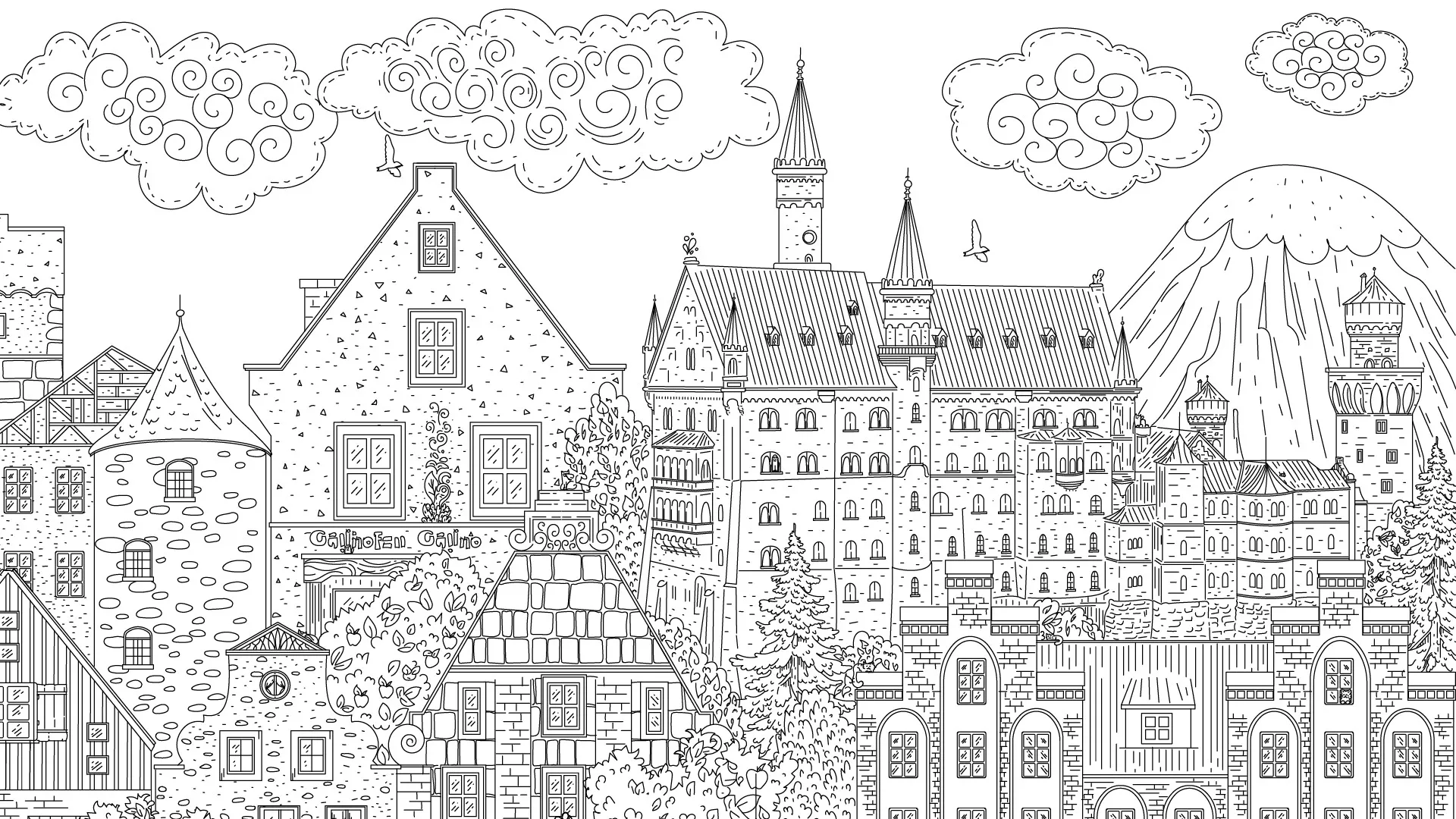 隐藏在德国的猫/Cats Hidden in Germany