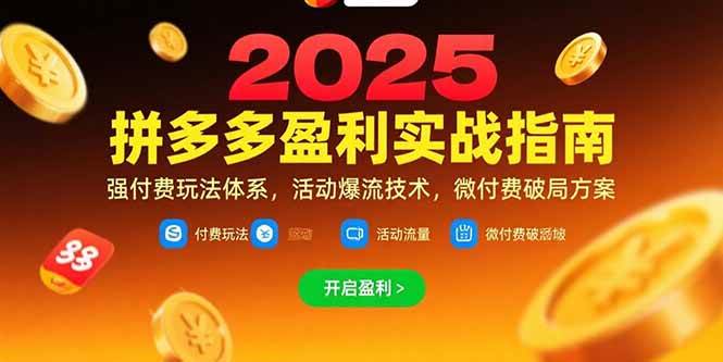 (15357期)拼多多盈利实战指南,强付费玩法,活动爆流技术,微付费破局方案(更新7月)_抖汇吧