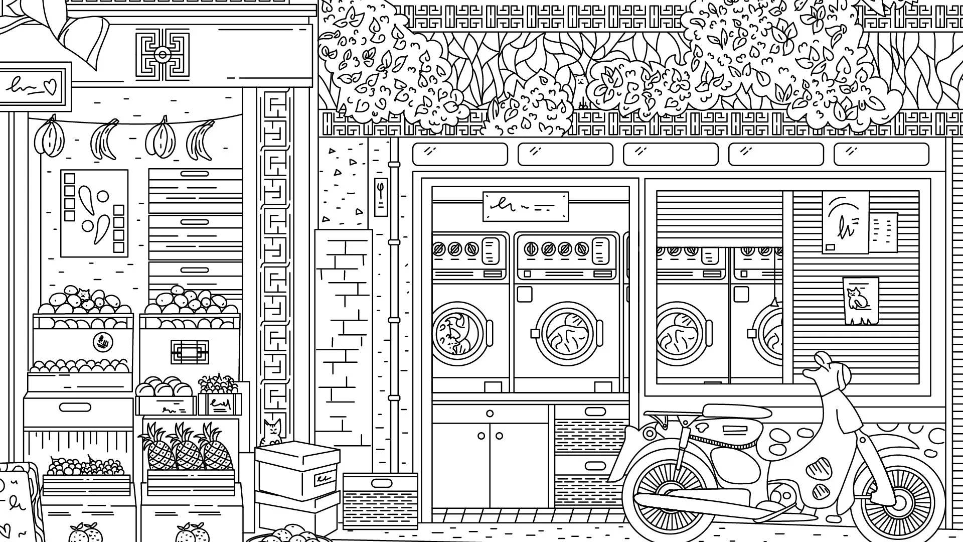 隐藏在中国的猫/Cats Hidden in China