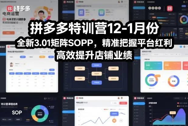 拼多多特训营12-1月份，全新3.01矩阵Sop，精准把握平台红利，高效提升店铺业绩_抖汇吧