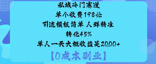 私域冷门赛道:单个收费198米引流模板简单人群精准转化45%单人一天大概收益是1k+_抖汇吧